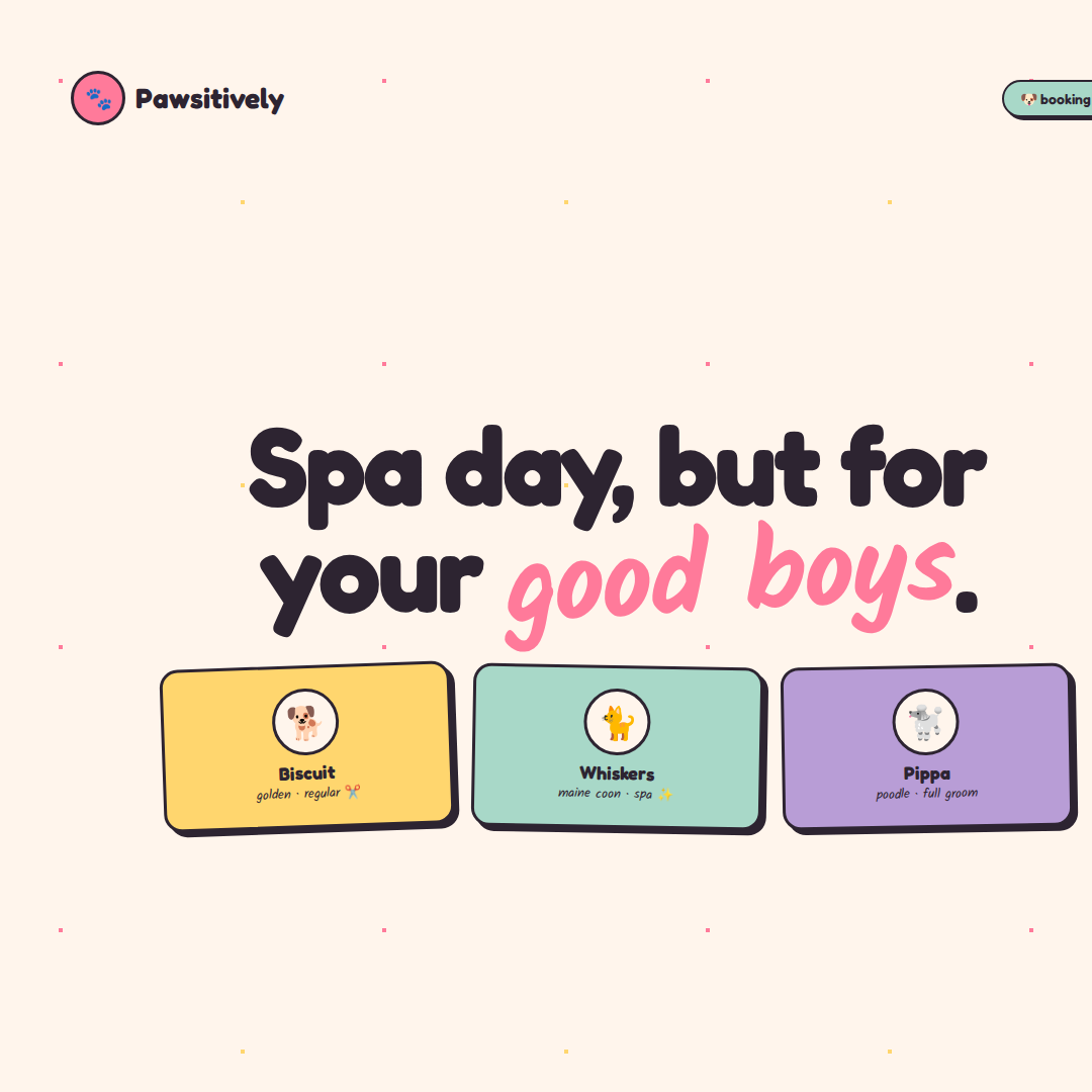 Pawsitively Pet Care — Instagram post about grooming service