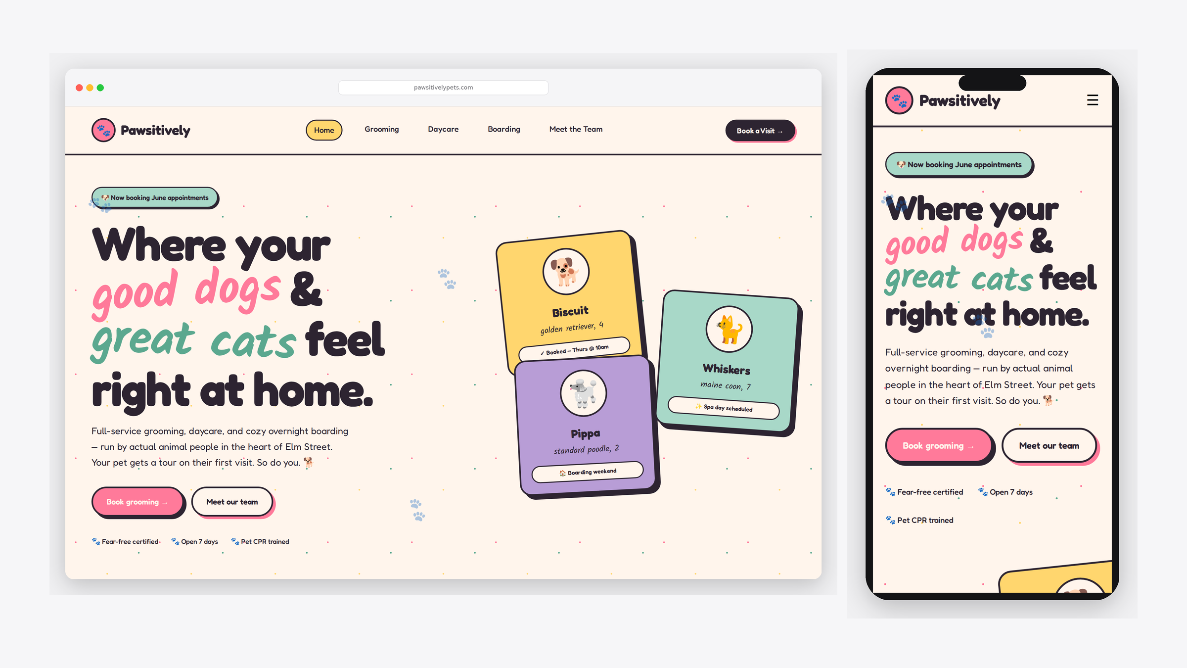 Pawsitively Pet Care — Pet grooming & daycare