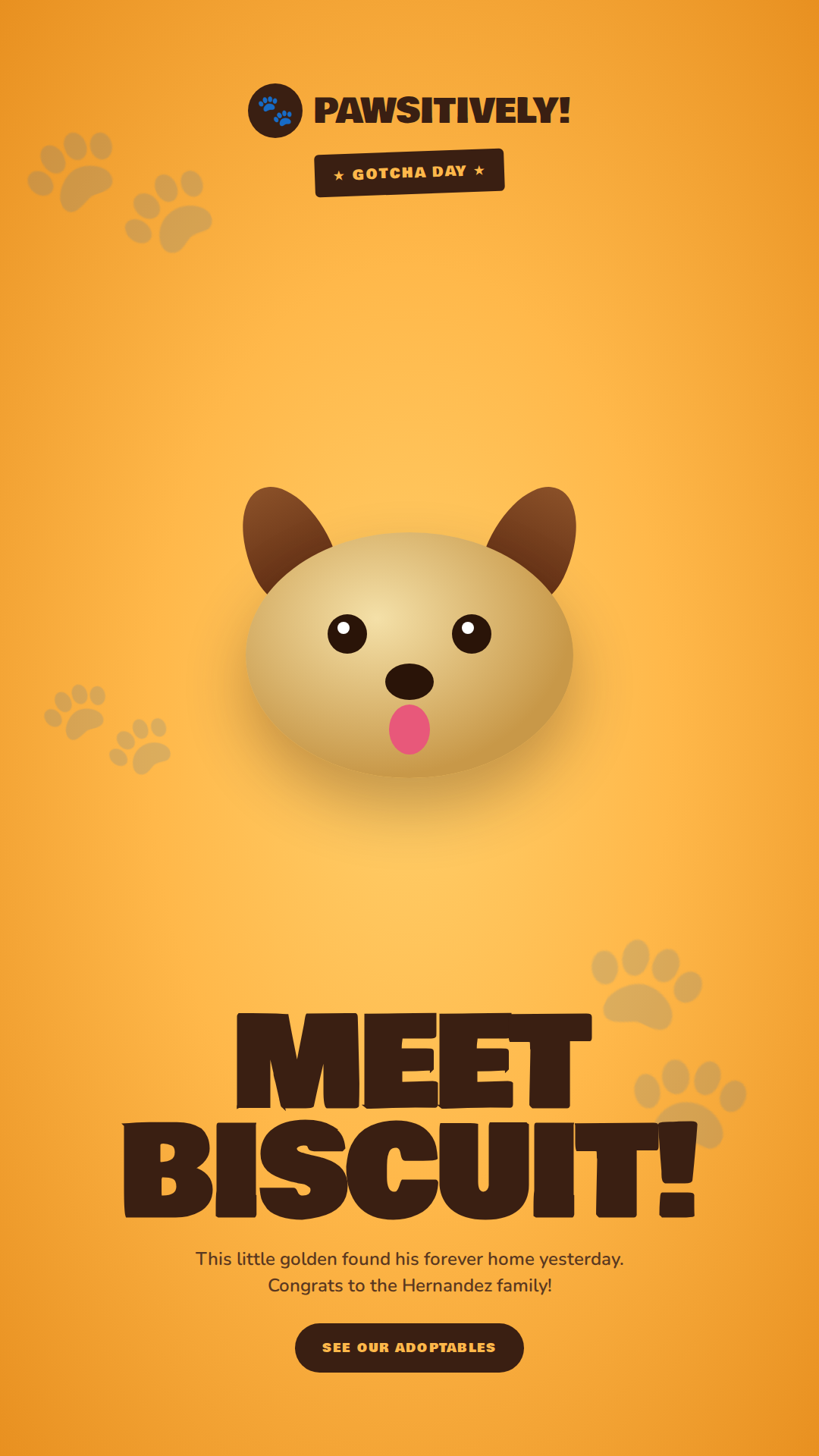 Pawsitively Pet Care — Instagram/Facebook Story